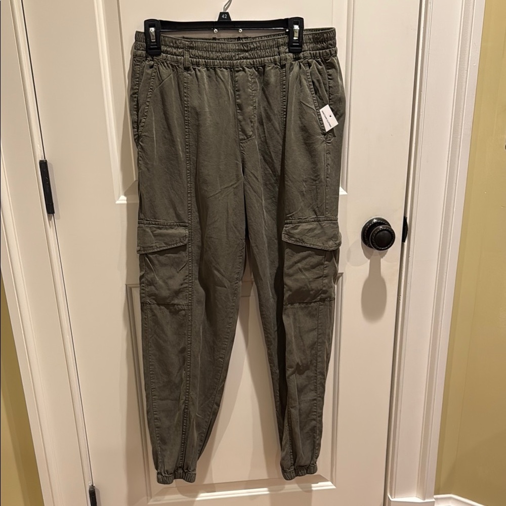 Sanctuary Sage Green Cargo Pants